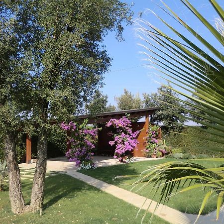 B&B "Corte San Tomaso" Legnago Bagian luar foto