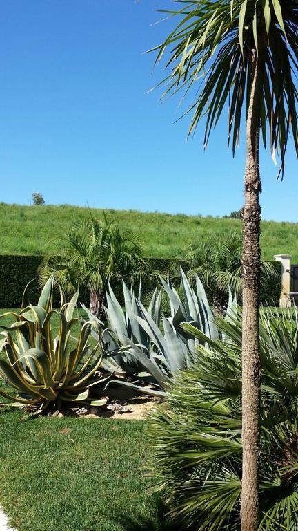 B&B "Corte San Tomaso" Legnago Bagian luar foto
