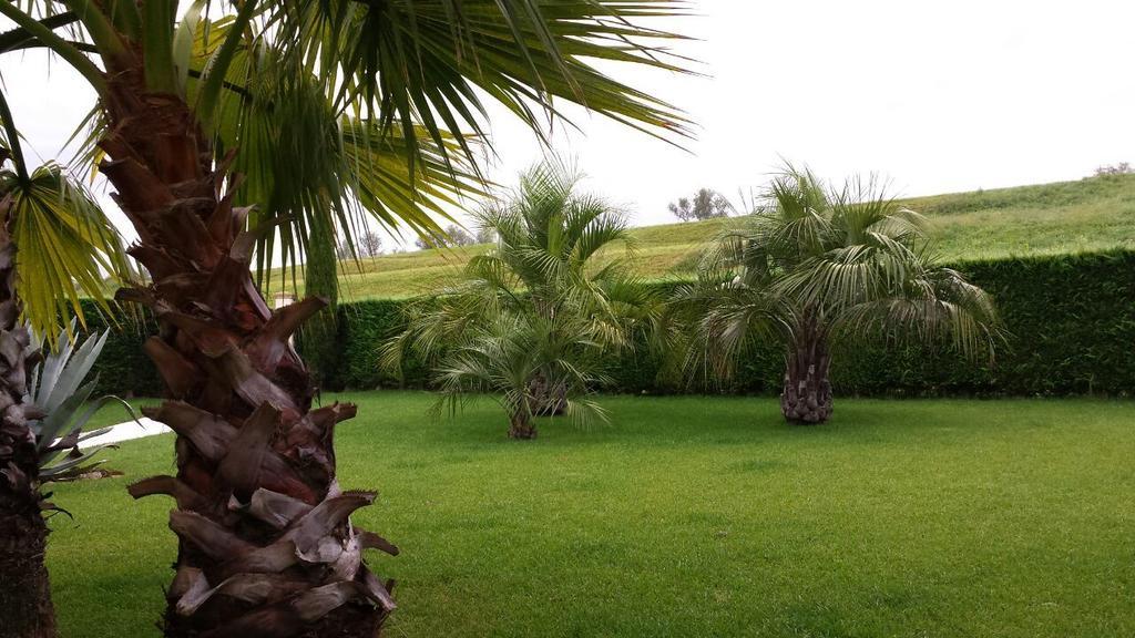 B&B "Corte San Tomaso" Legnago Bagian luar foto
