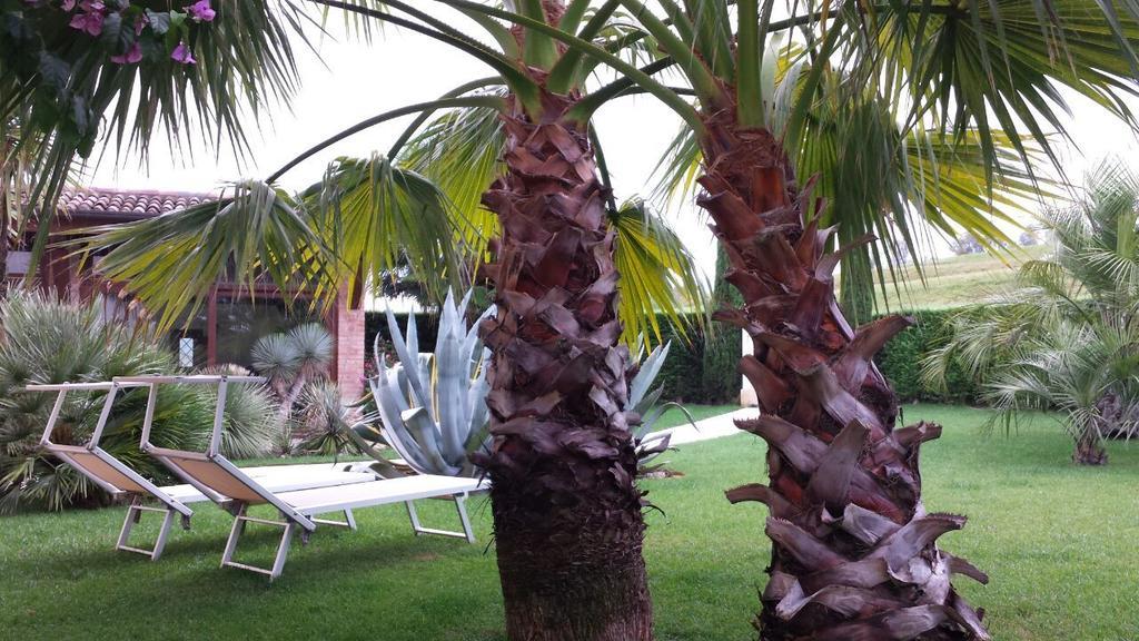 B&B "Corte San Tomaso" Legnago Bagian luar foto